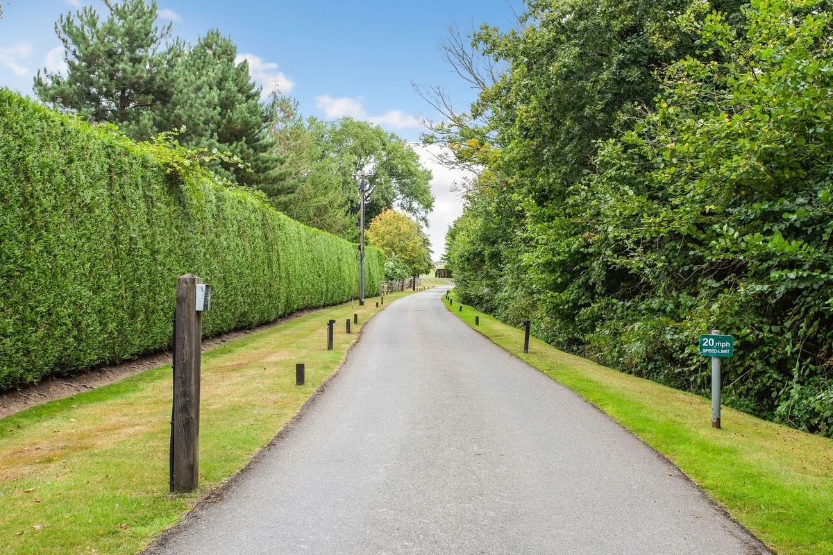 Chobham Park Lane, Chobham Woking, GU24, photo 26
