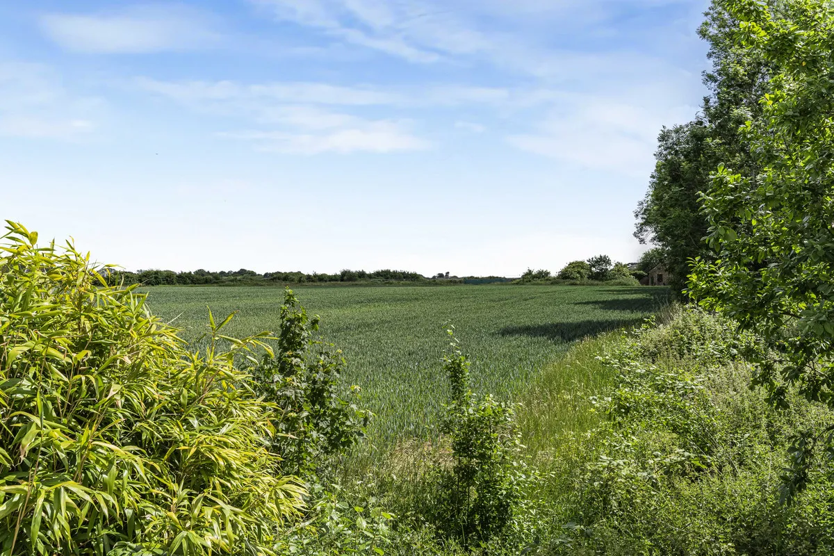 Keston, BR2 6DS, photo 19