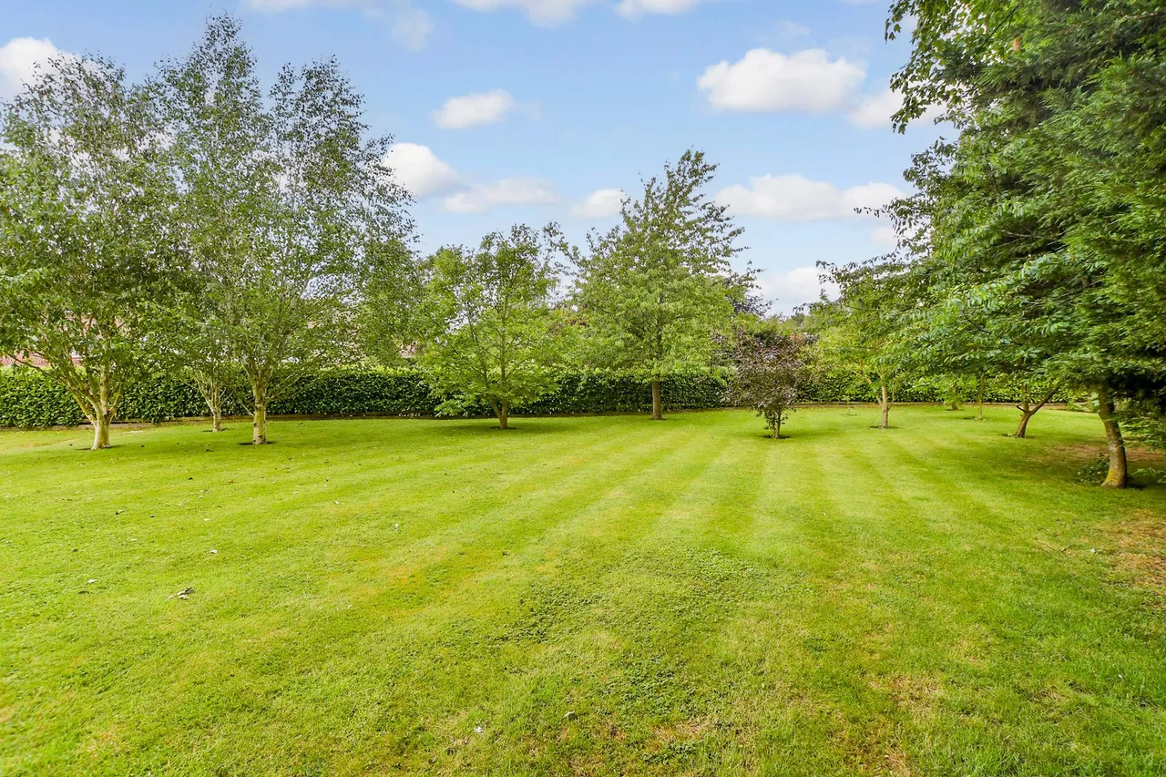 Griffin Hill, Chillenden, photo 19