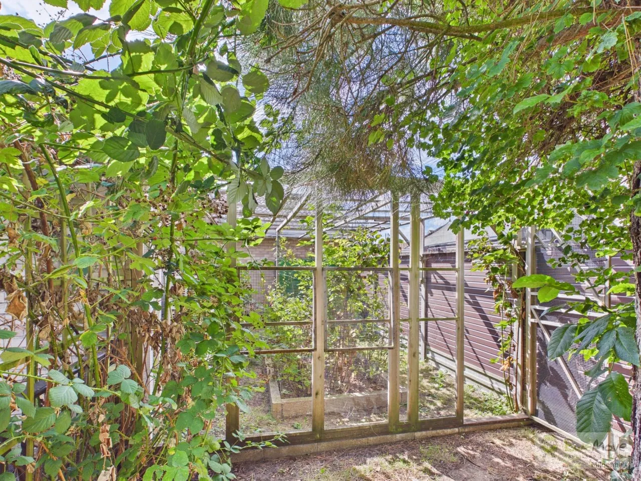 Cromwell Close, Weeting, IP27, photo 17