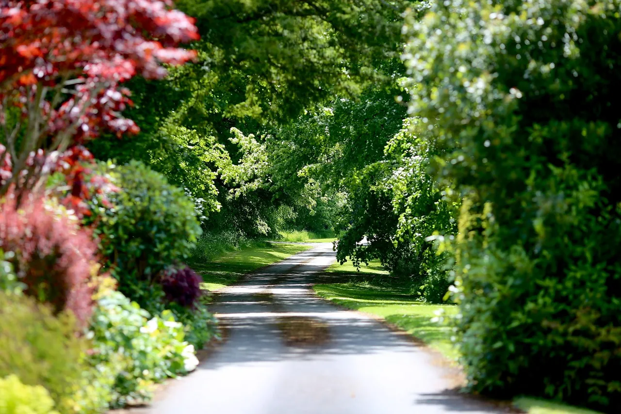 Trebencyn Park, Trebencyn, NP7, photo 53