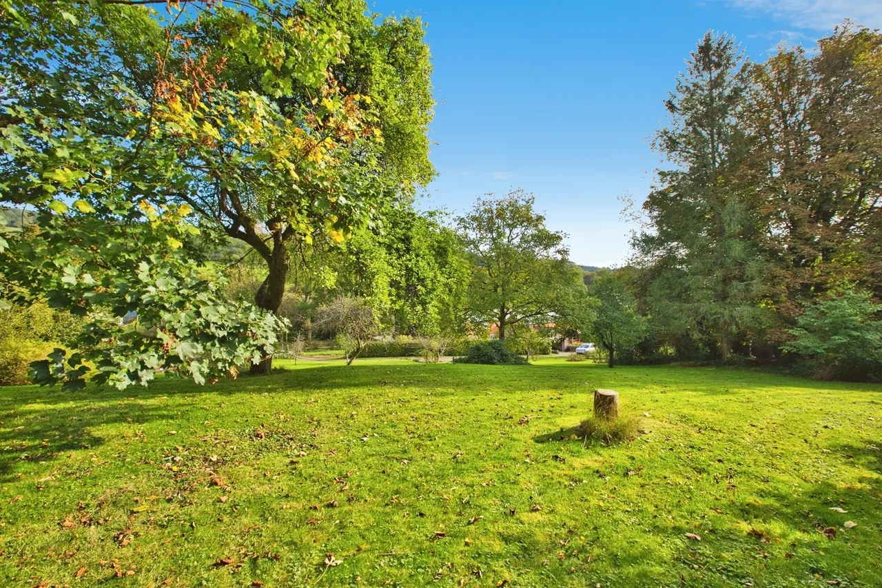 Kennel Batch, Wookey Hole, BA5, photo 23