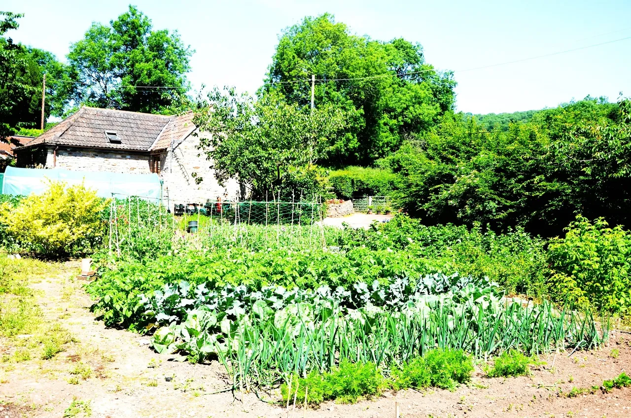 Kennel Batch, Wookey Hole, BA5, photo 32