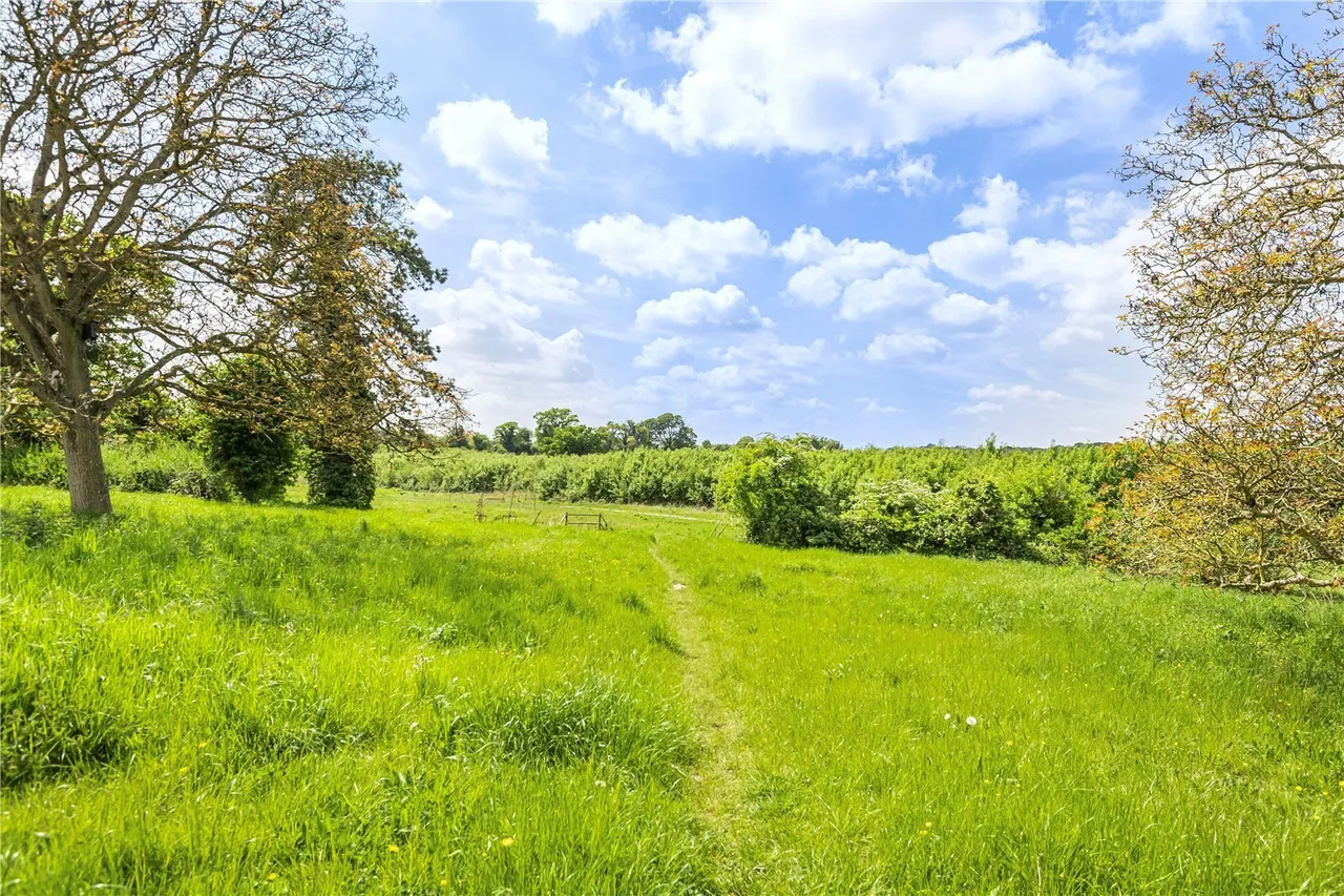 Horse Leys, Rotherfield Greys, RG9, photo 25