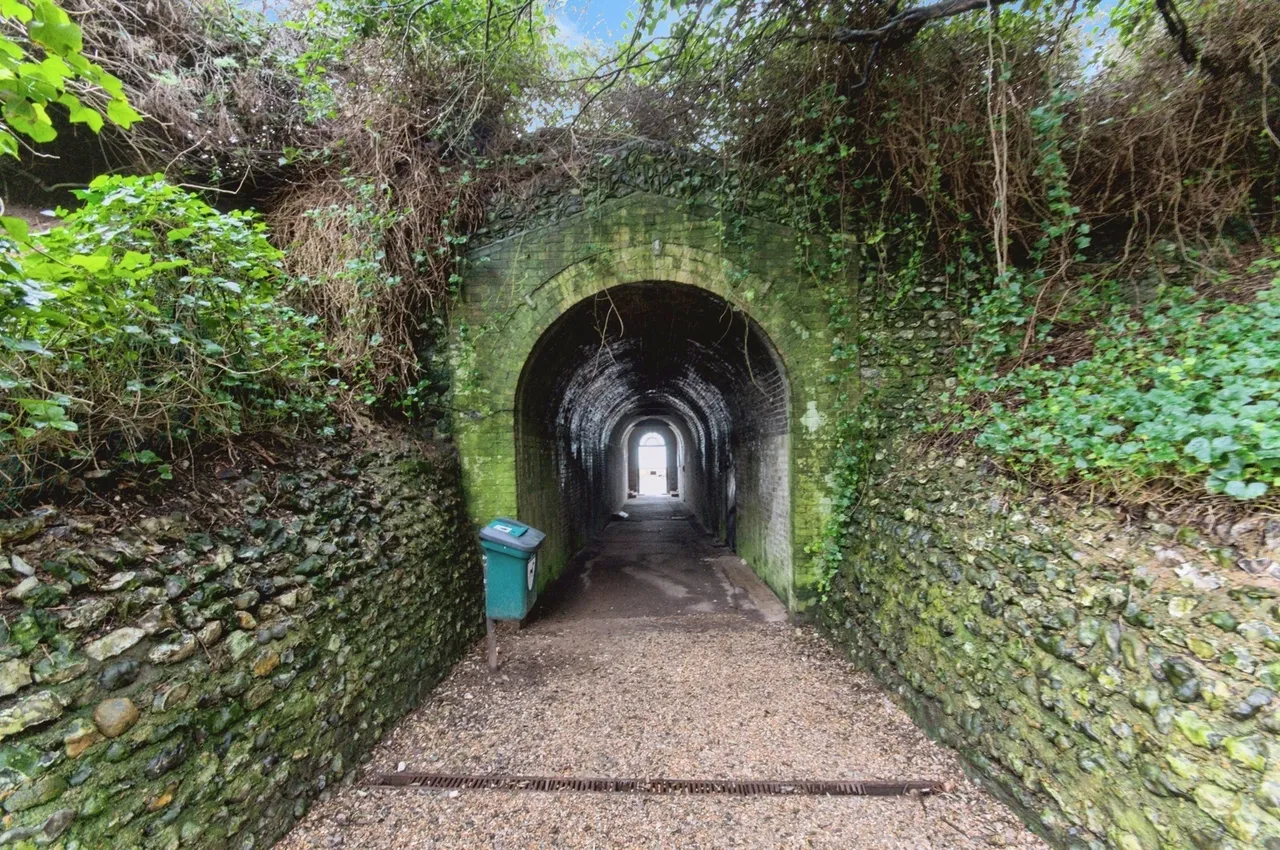 Rock Grove, Brighton, BN2, photo 12