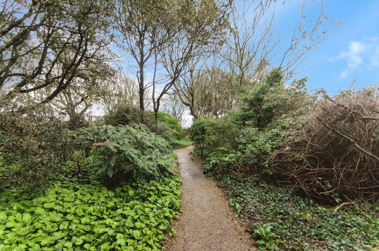 Rock Grove, Brighton, BN2, photo 21