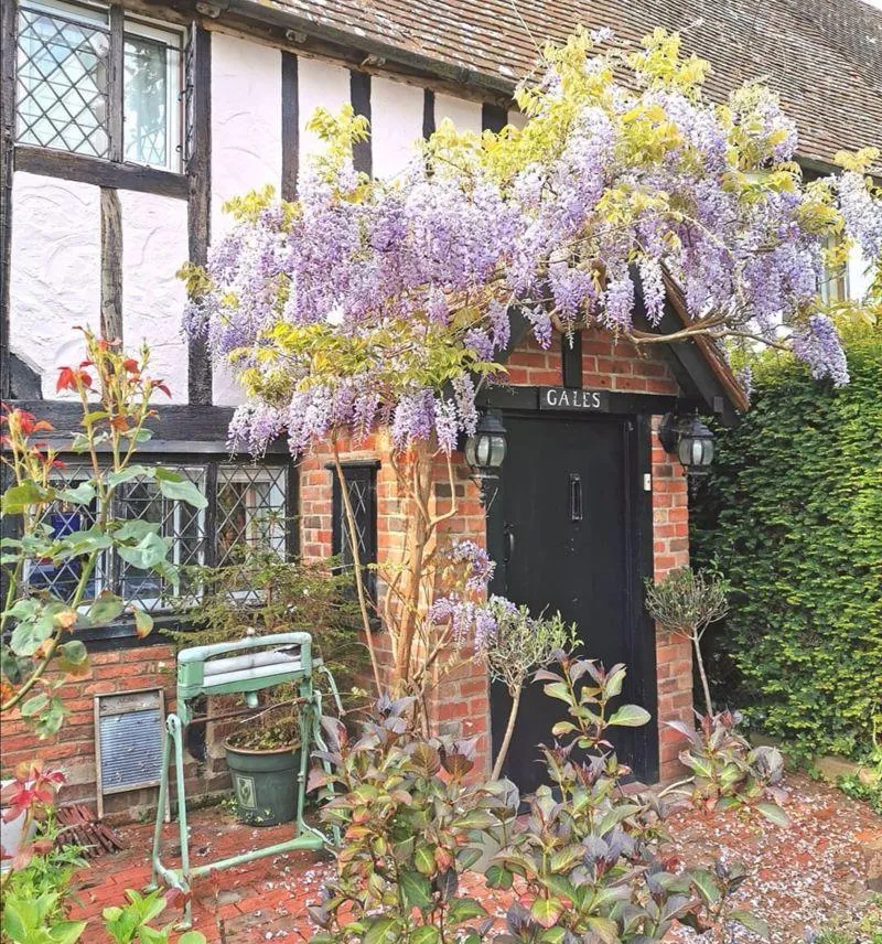 Powder Mill Lane, Leigh, photo 9
