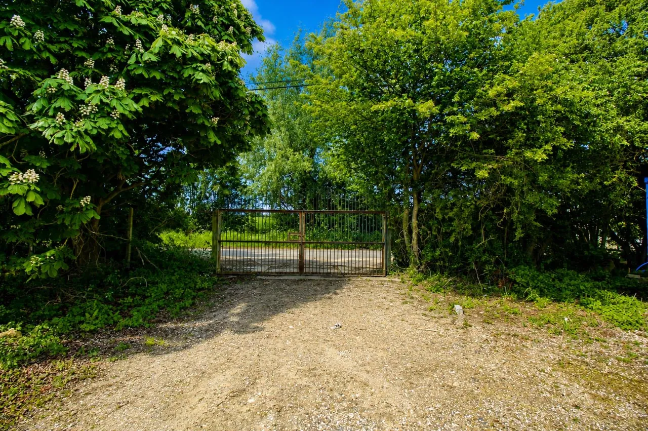 White Roding, Dunmow, CM6, photo 3