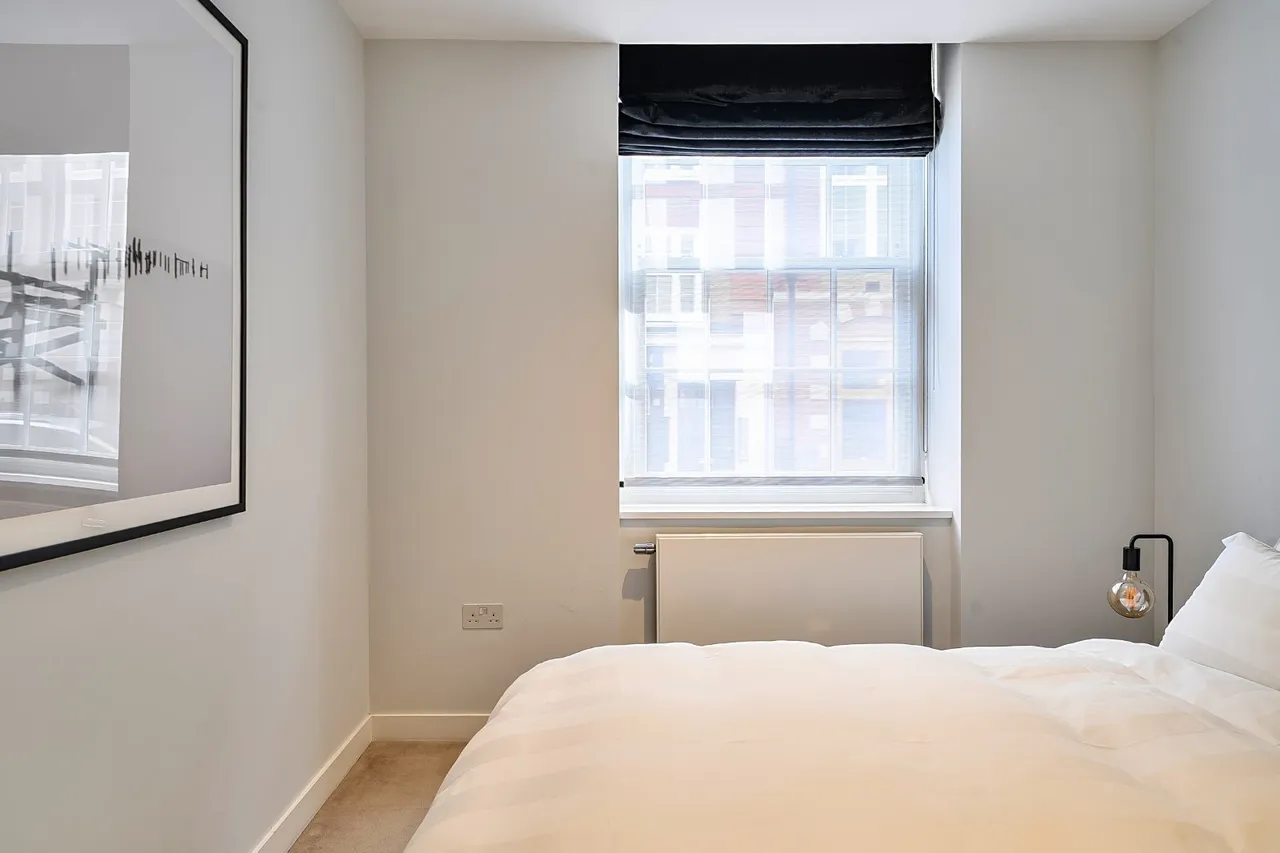 Picton Place, London, W1U, photo 19