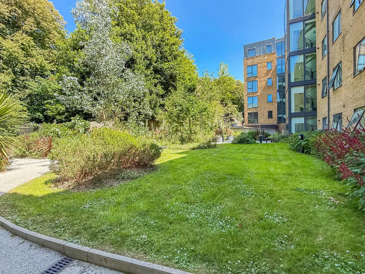 Hove Park Gardens, Hove, BN3, photo 14