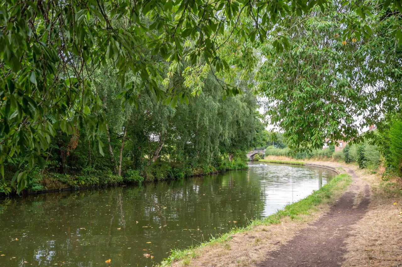 Chester Road, Grappenhall, WA4, photo 34