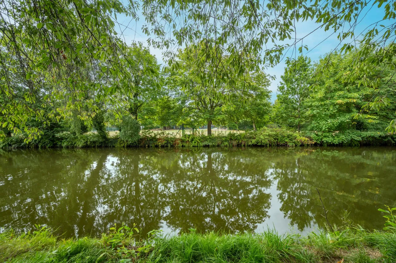 Chester Road, Grappenhall, WA4, photo 35