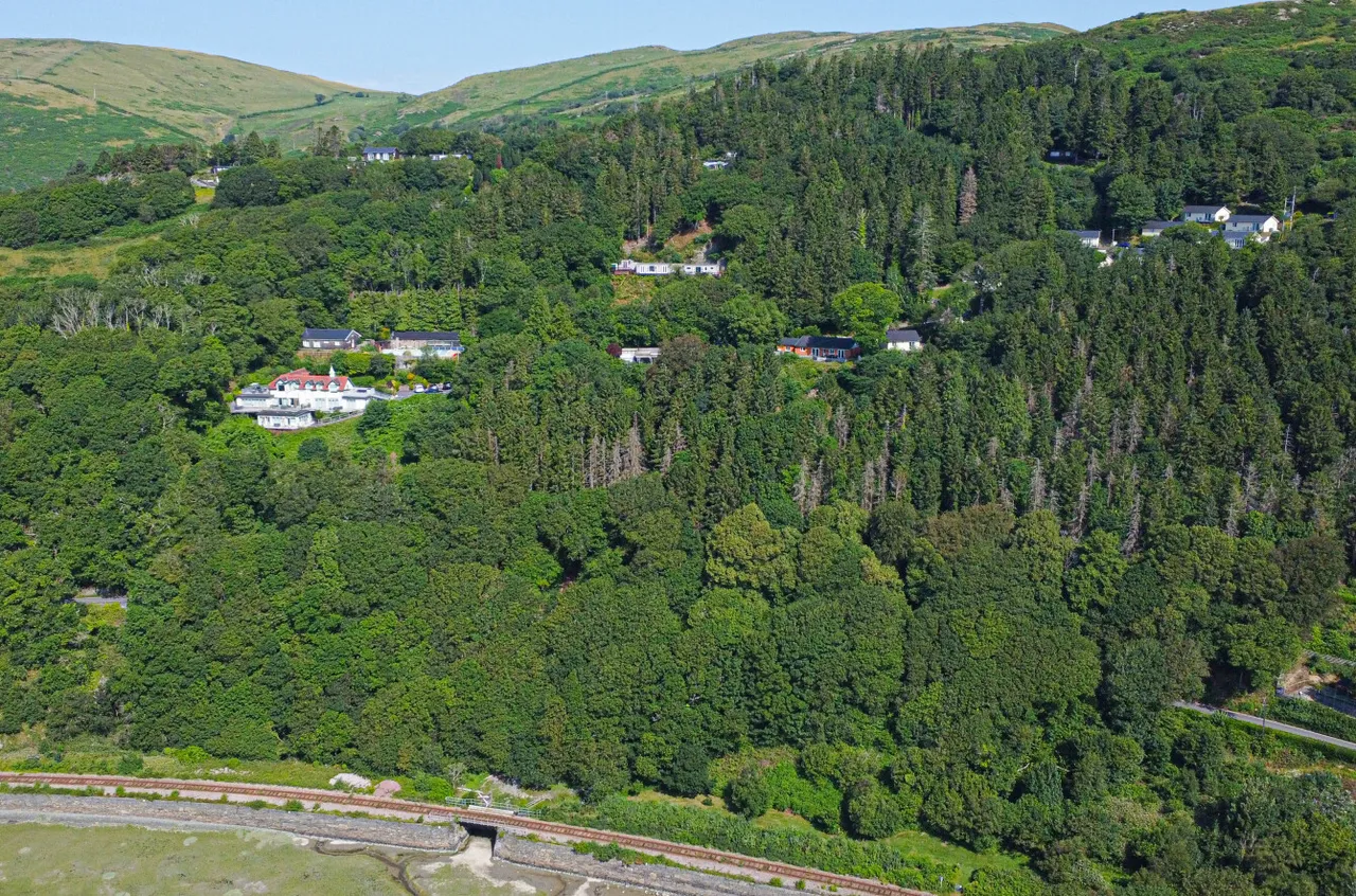 Plas Panteidal, Aberdovey/Aberdyfi, photo 37