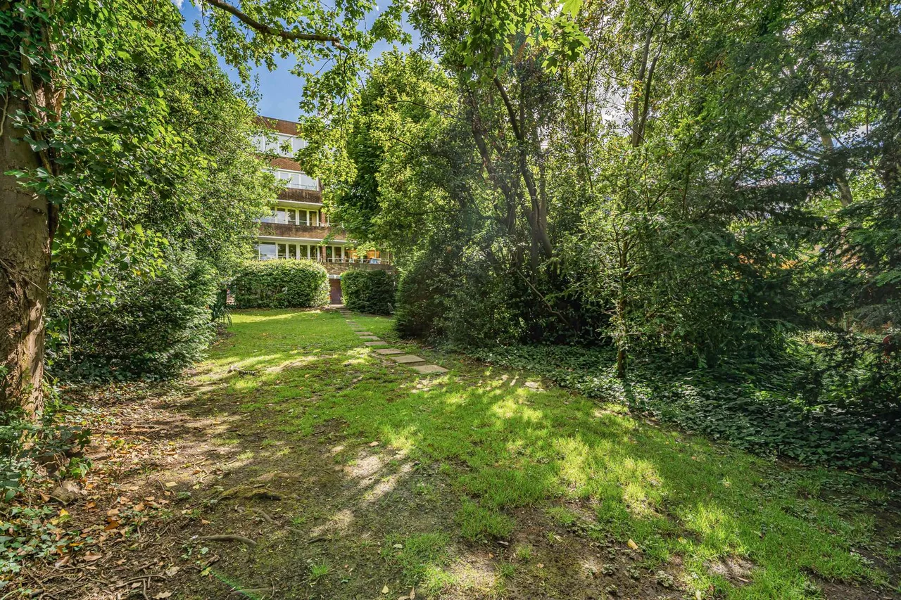 Crescent Road, N8, photo 11