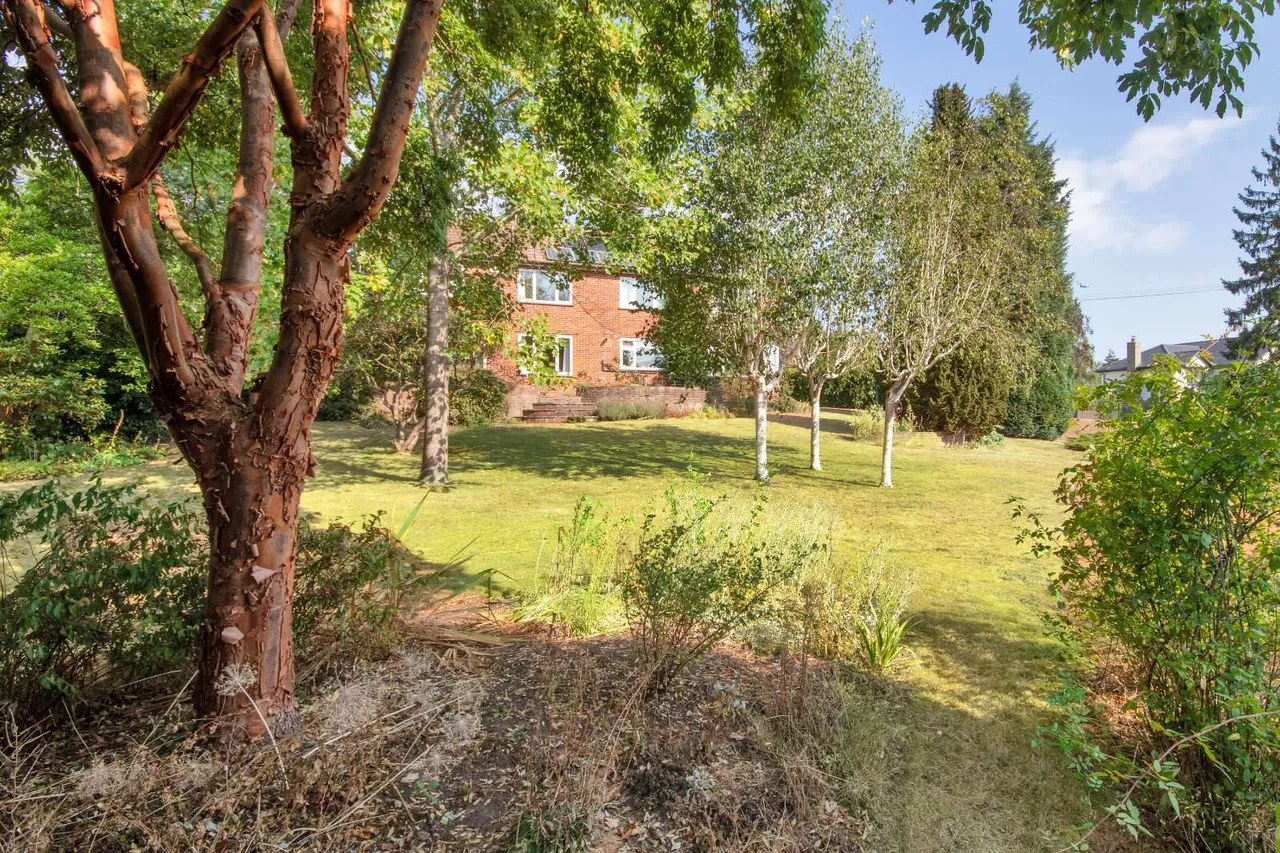 Wildernesse Mount, Sevenoaks, TN13, photo 11