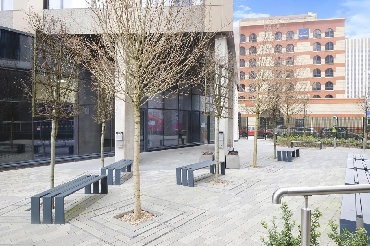 Sheepcote Street, Birmingham, B16, photo 14