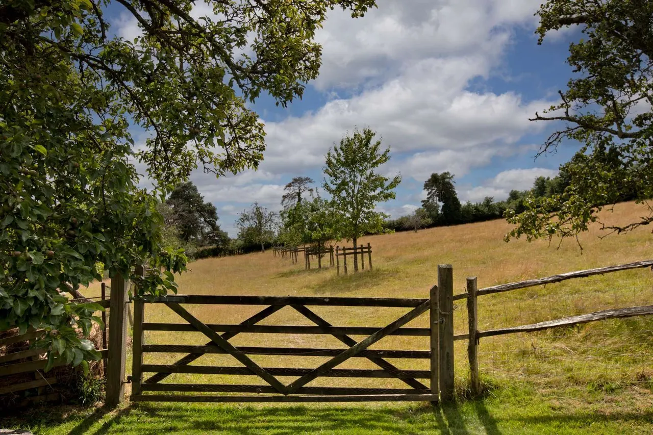 Bickington, Newton Abbot, TQ12, photo 11