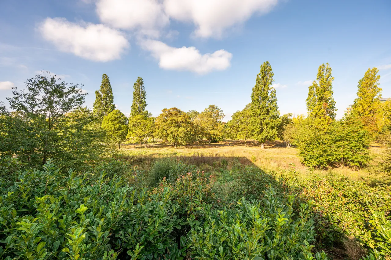 London, SE9, photo 20