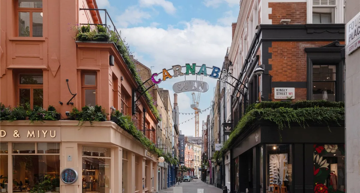 Marshall Street Soho ,W1F, photo 11