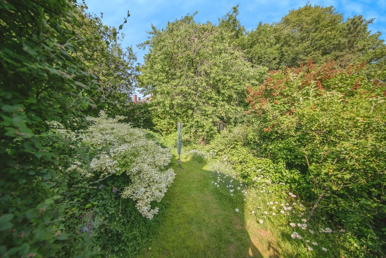 Rosehill Road, Ipswich, Suffolk, IP3, photo 12