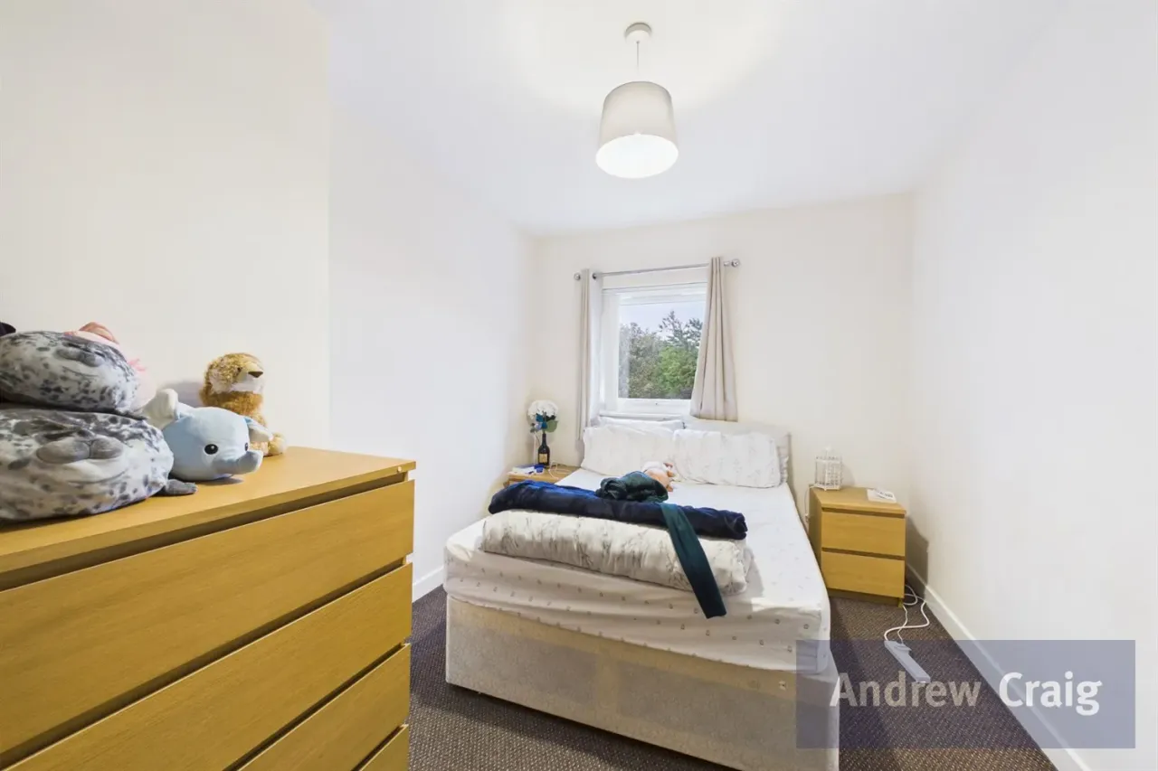 Appletree Court, Gateshead, NE8, photo 4
