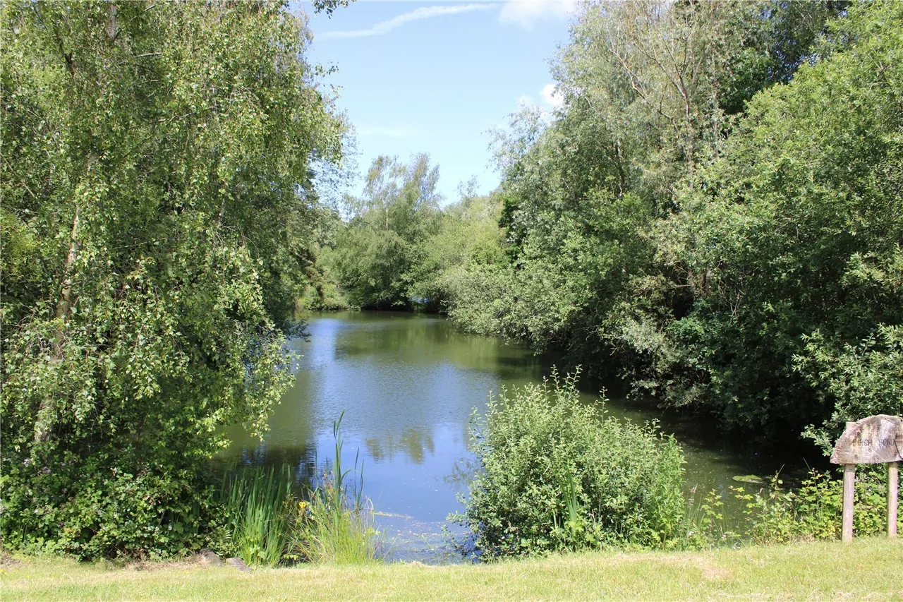 Langmere Lakes, Old Church Road, Frettenham, Norwich, NR12, photo 23