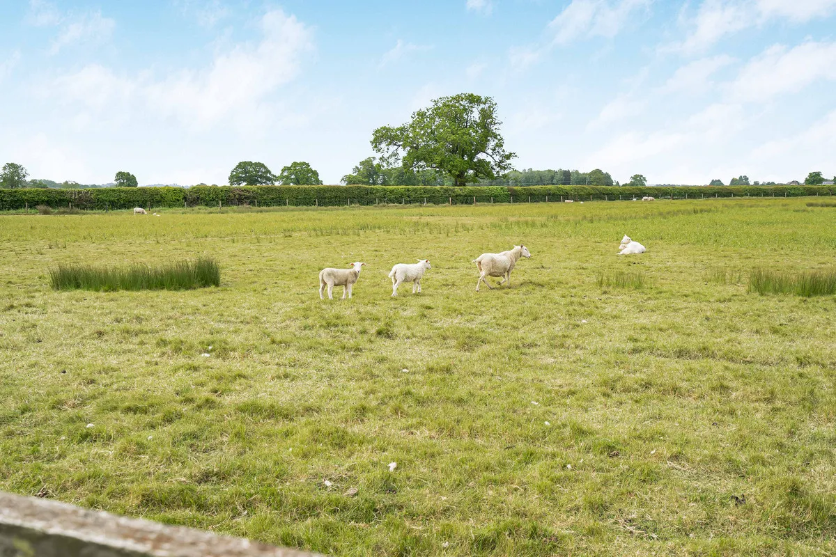Marsh Road, Ambrosden, photo 7