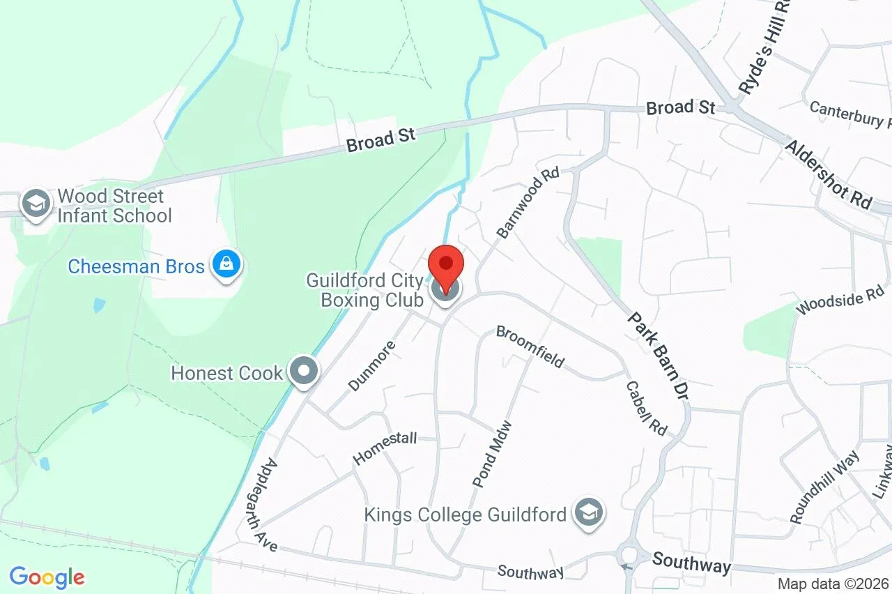School Meadow, Guildford, GU2, photo 9