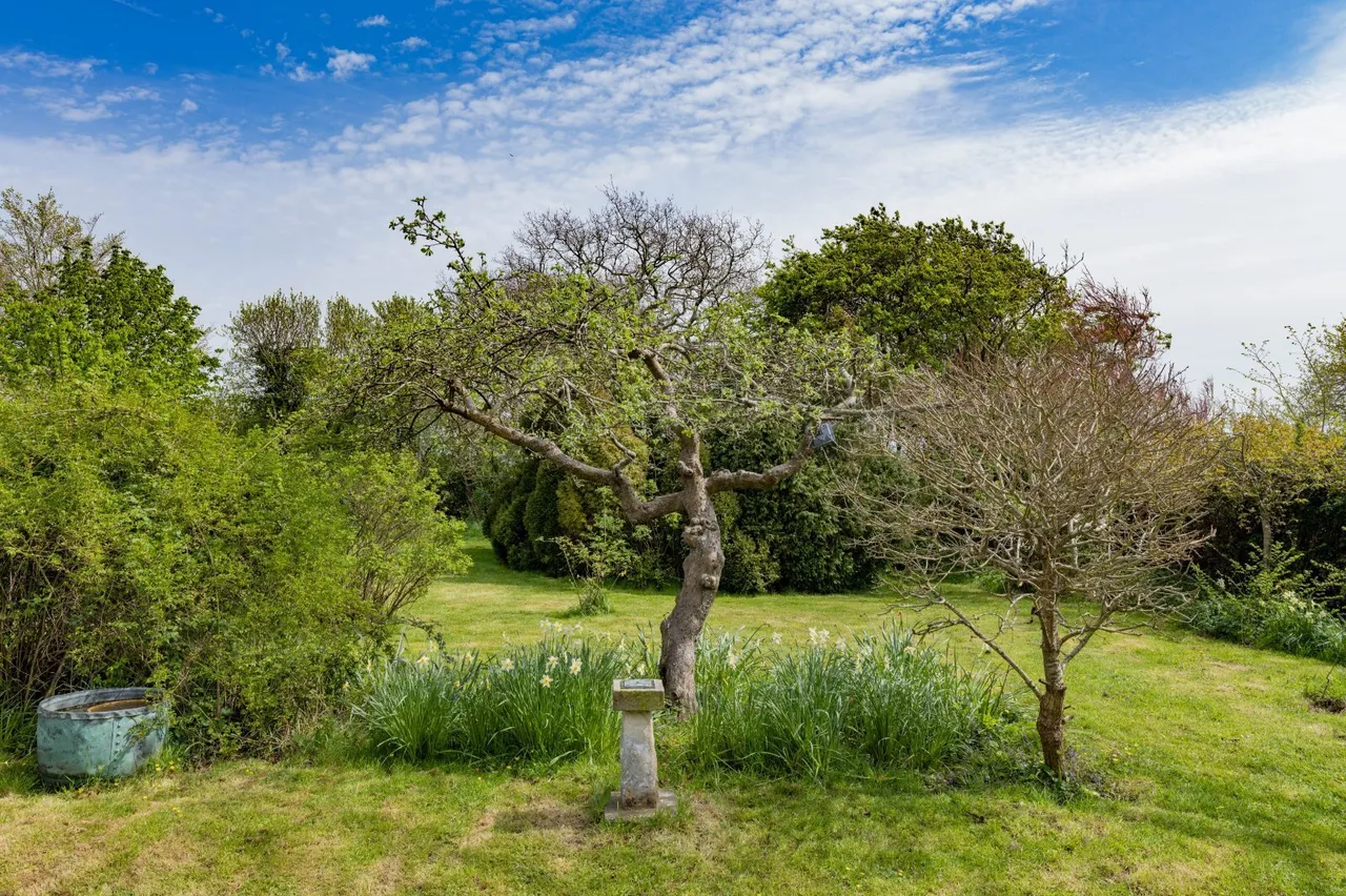 Station Road, Berwick, BN26, photo 20