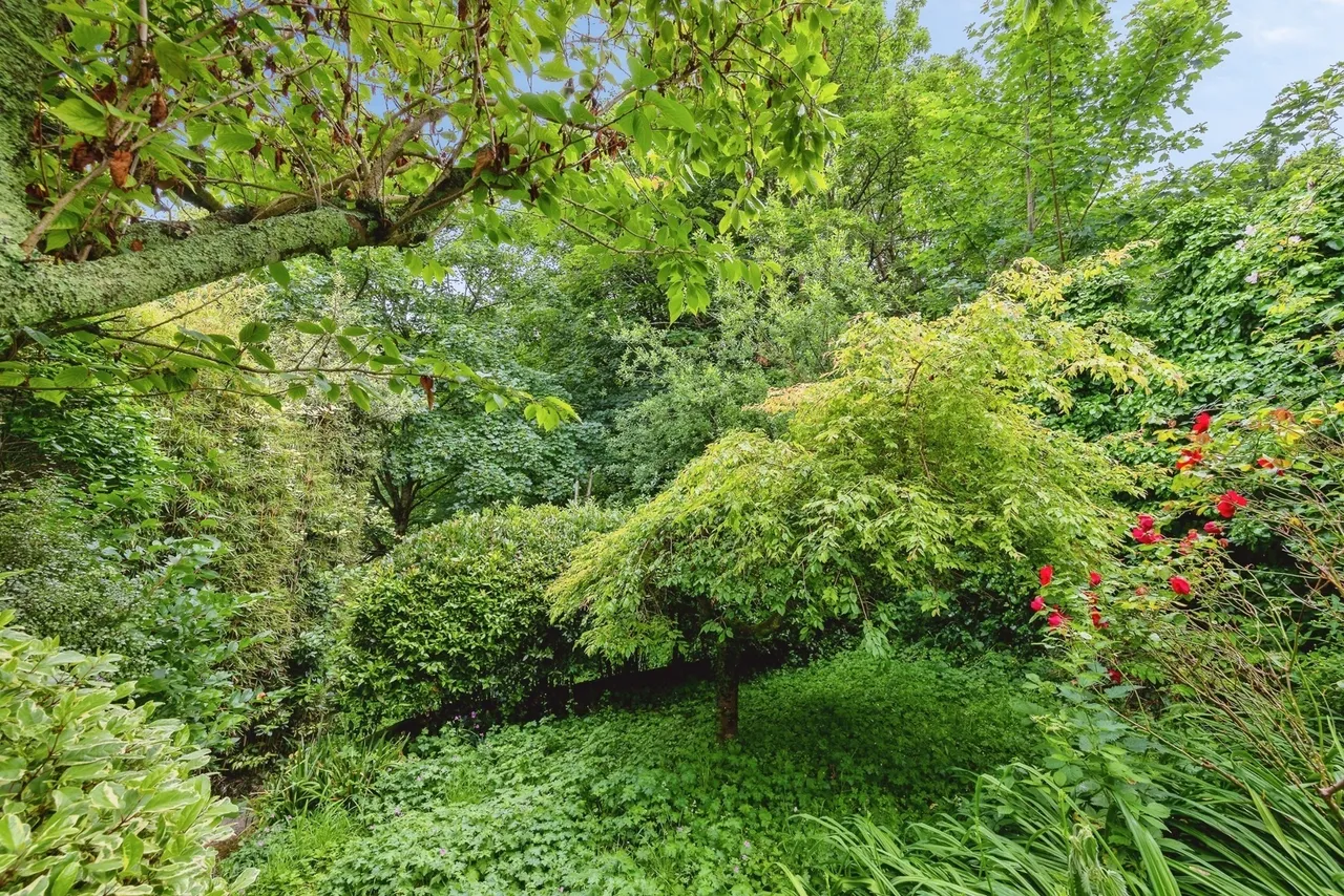 Old Road, Boscastle, PL35, photo 22