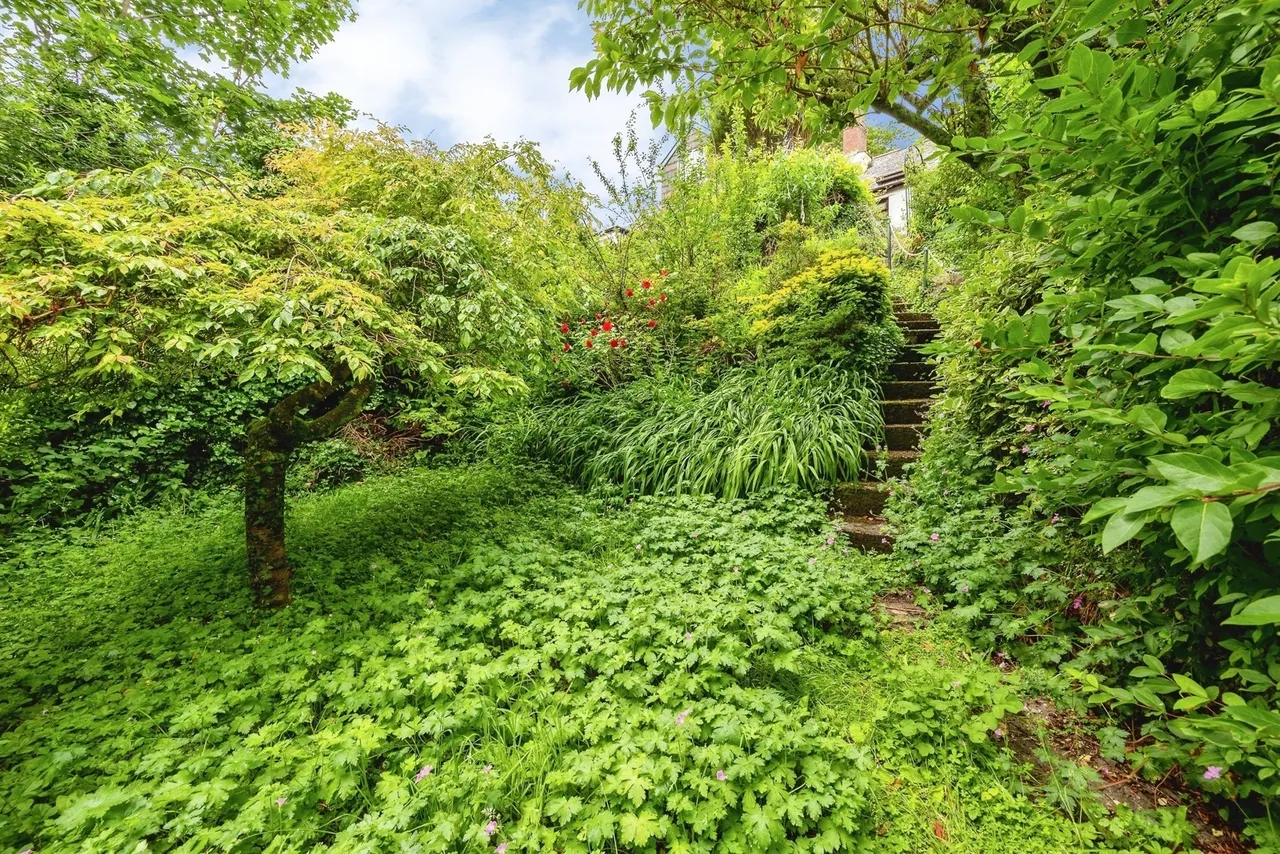 Old Road, Boscastle, PL35, photo 21