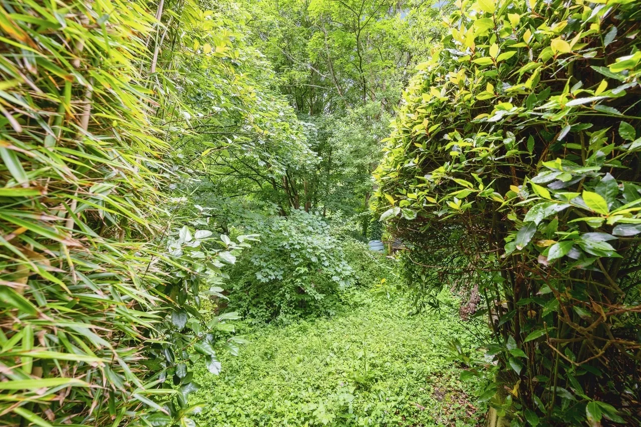Old Road, Boscastle, PL35, photo 24