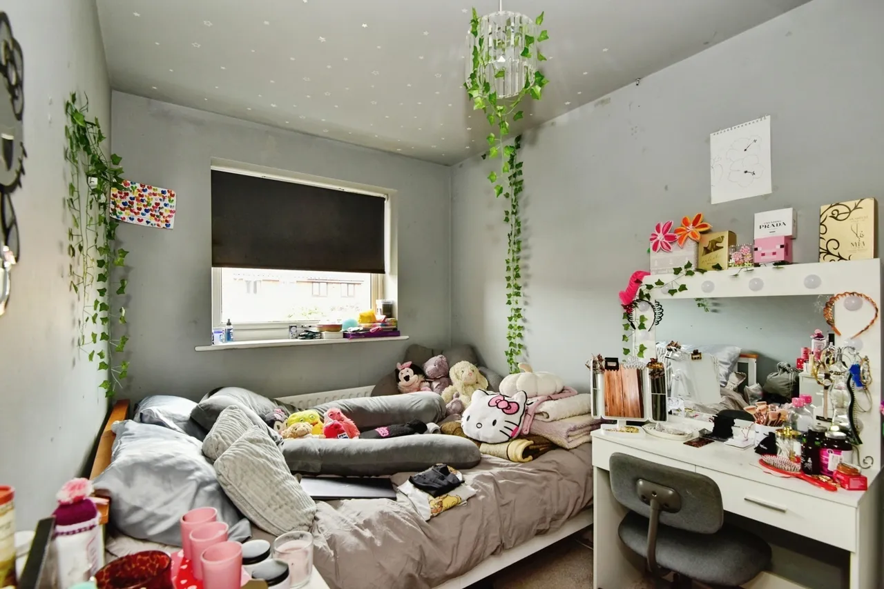 Newport Grove, Newcastle, Staffordshire, ST5, photo 14