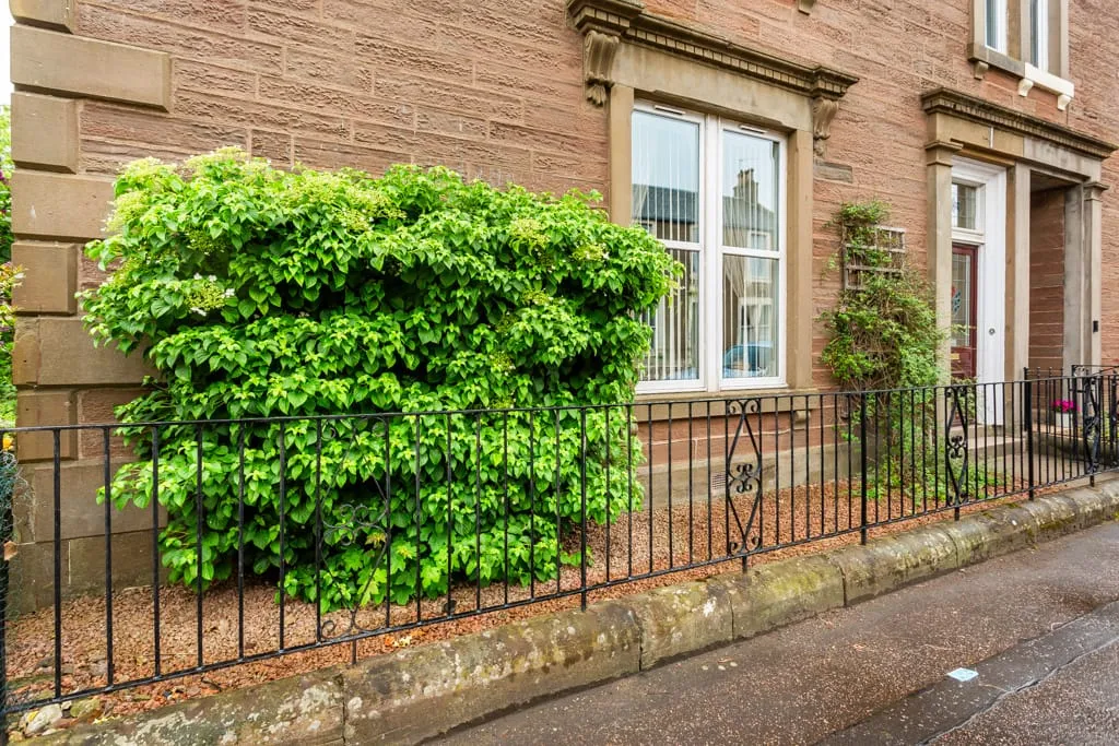 Princes Street, Arbroath, DD11 2BL, photo 40