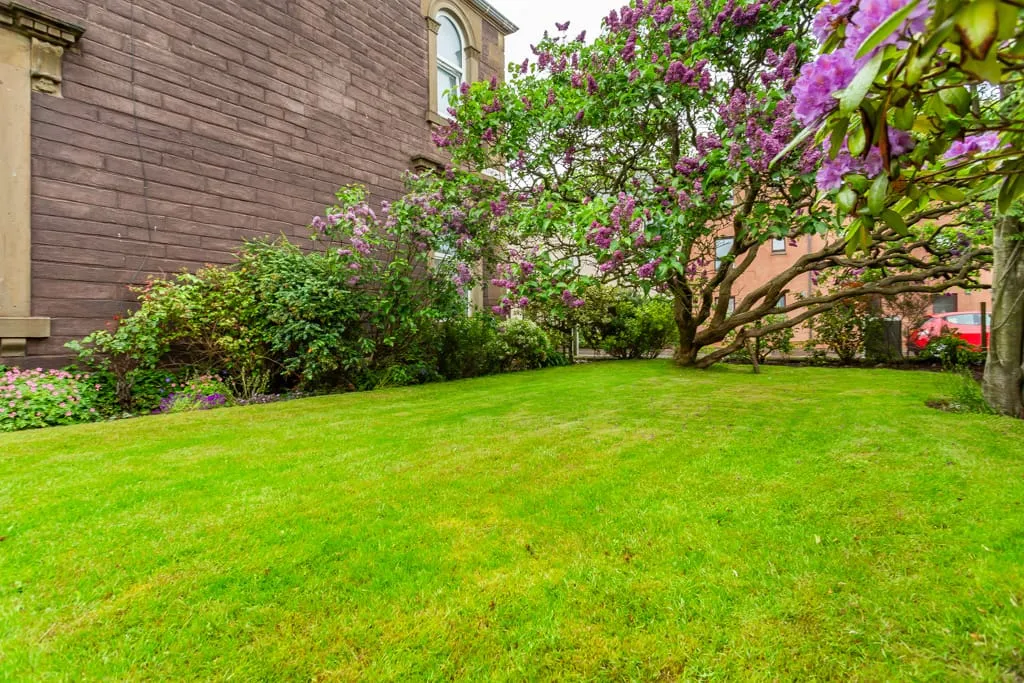 Princes Street, Arbroath, DD11 2BL, photo 29