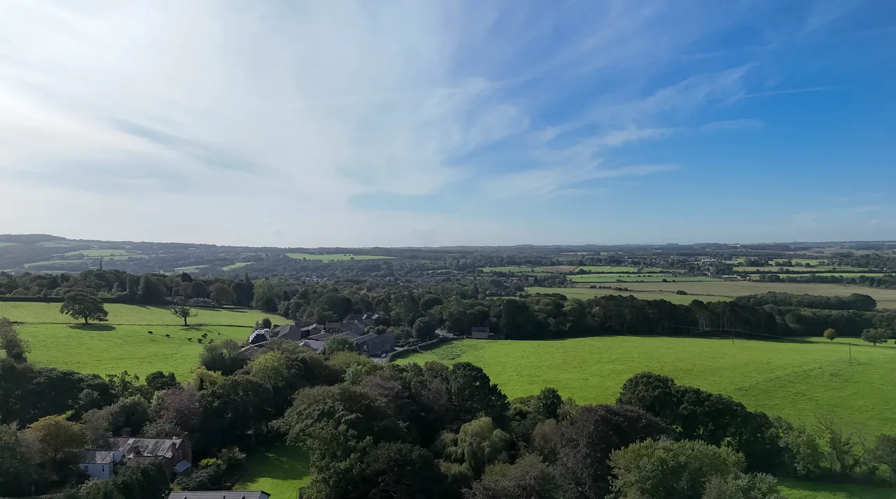 Chorley Road, Hilldale, photo 25