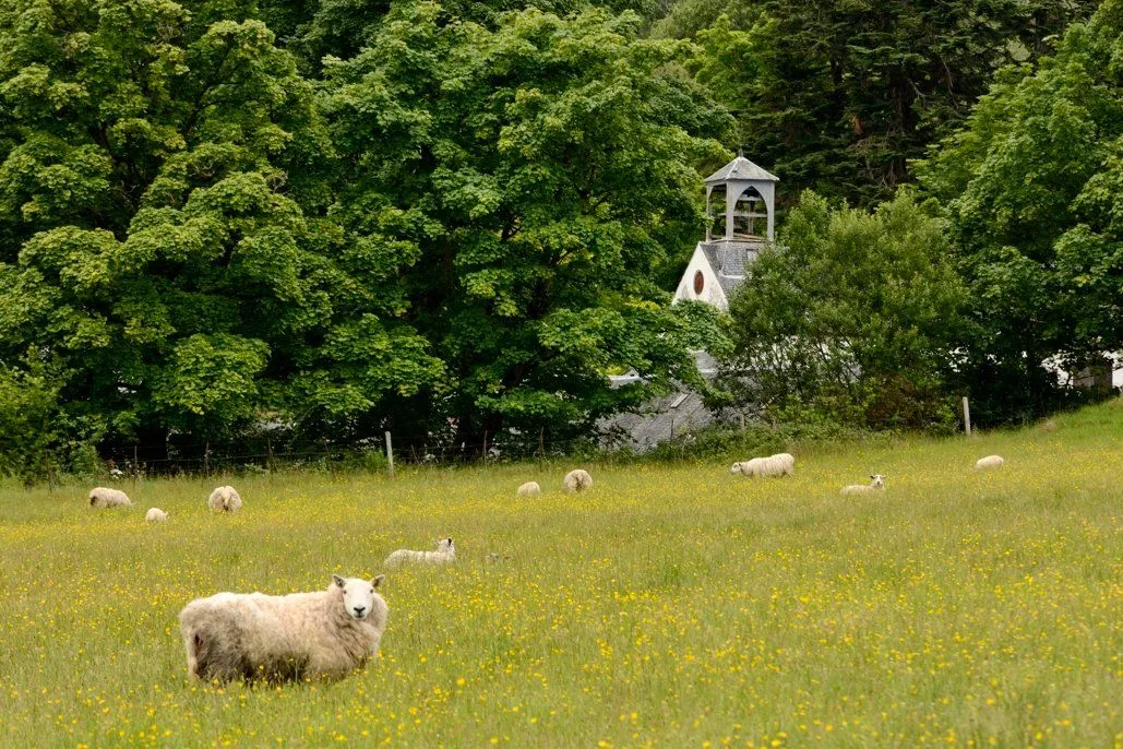 Onich, Fort William, Inverness-Shire, PH33 6SA, photo 7