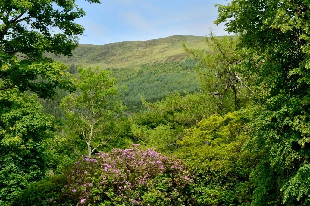 Onich, Fort William, Inverness-Shire, PH33 6SA, photo 9