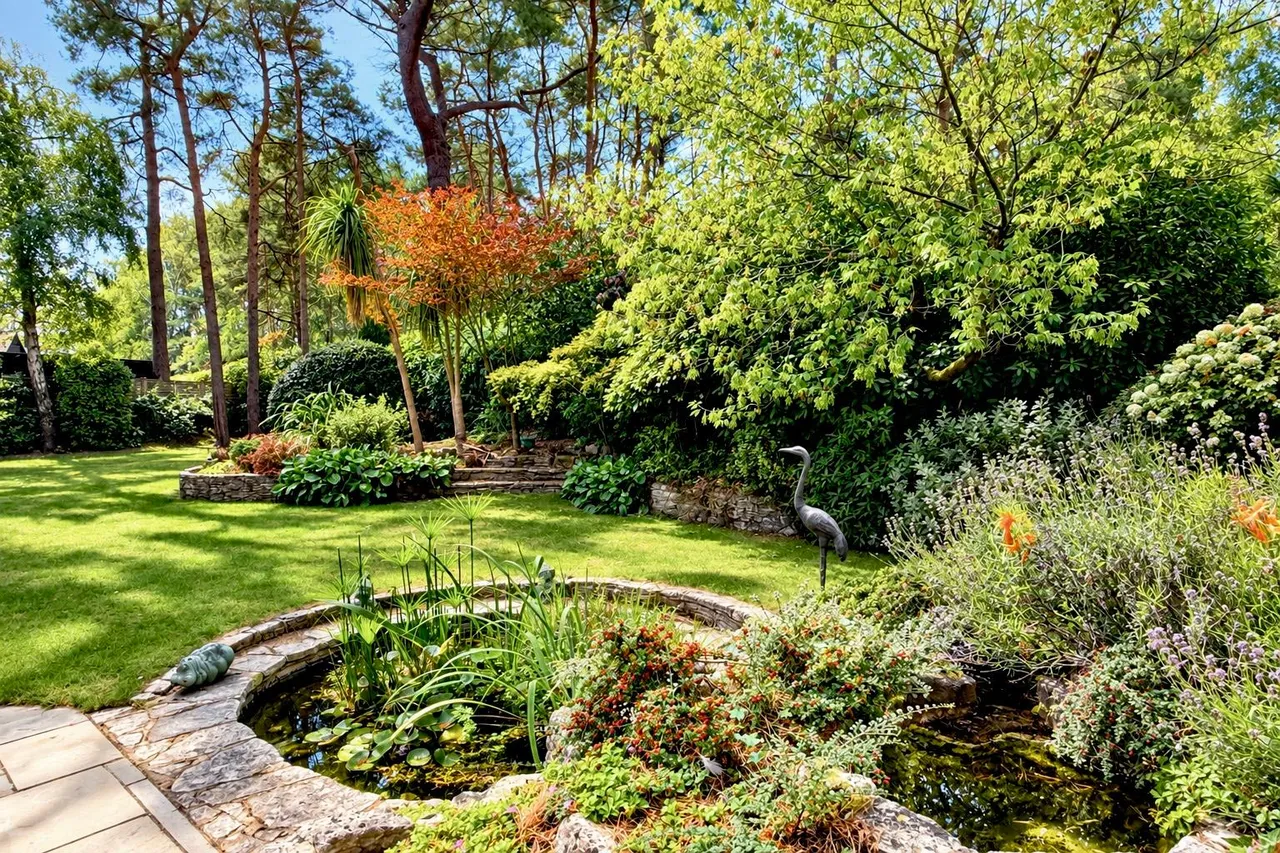 Davids Lane, Ringwood, BH24, photo 25