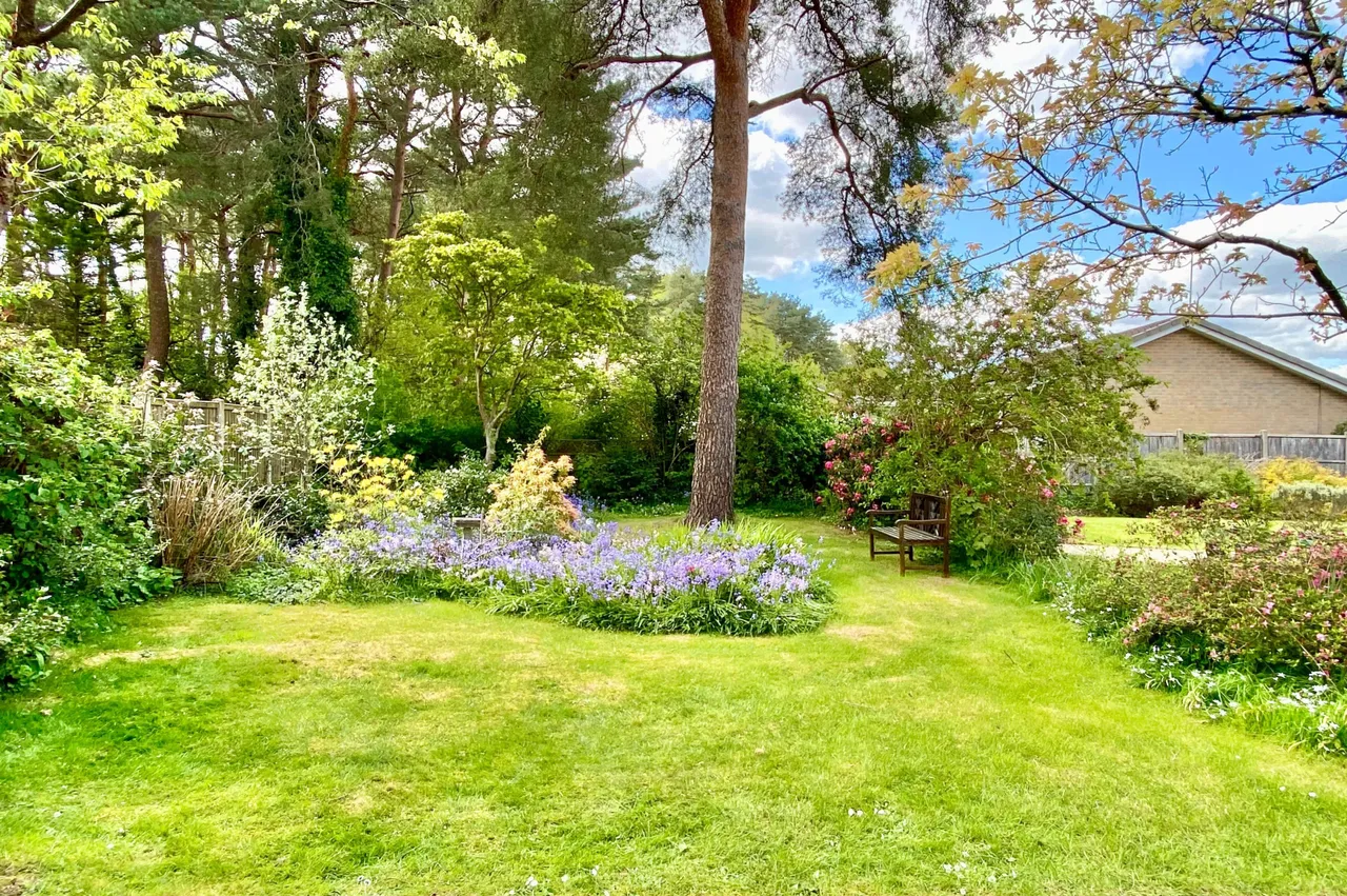 Shelley Close, Ashley Heath, BH24, photo 25