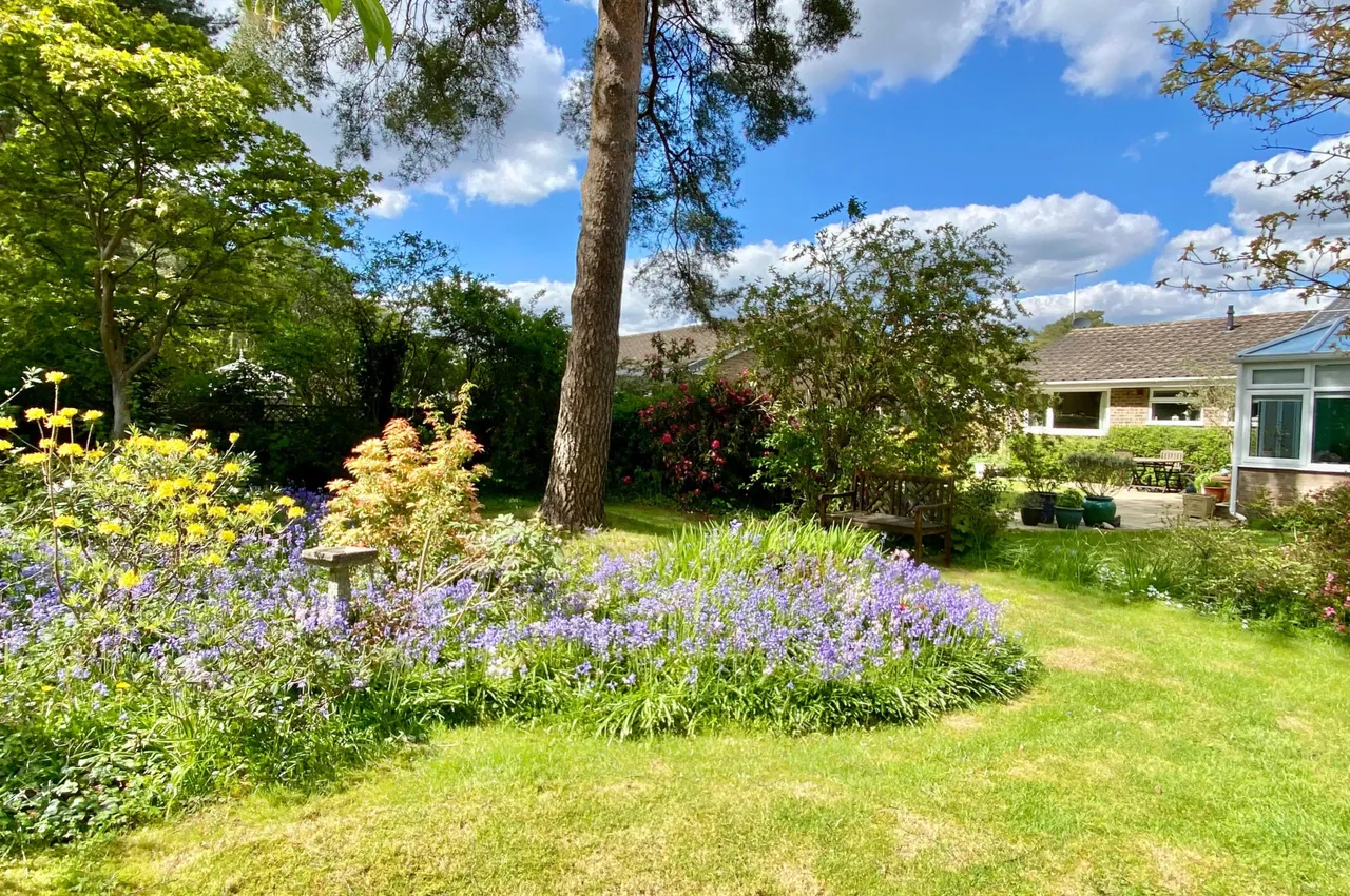 Shelley Close, Ashley Heath, BH24, photo 24