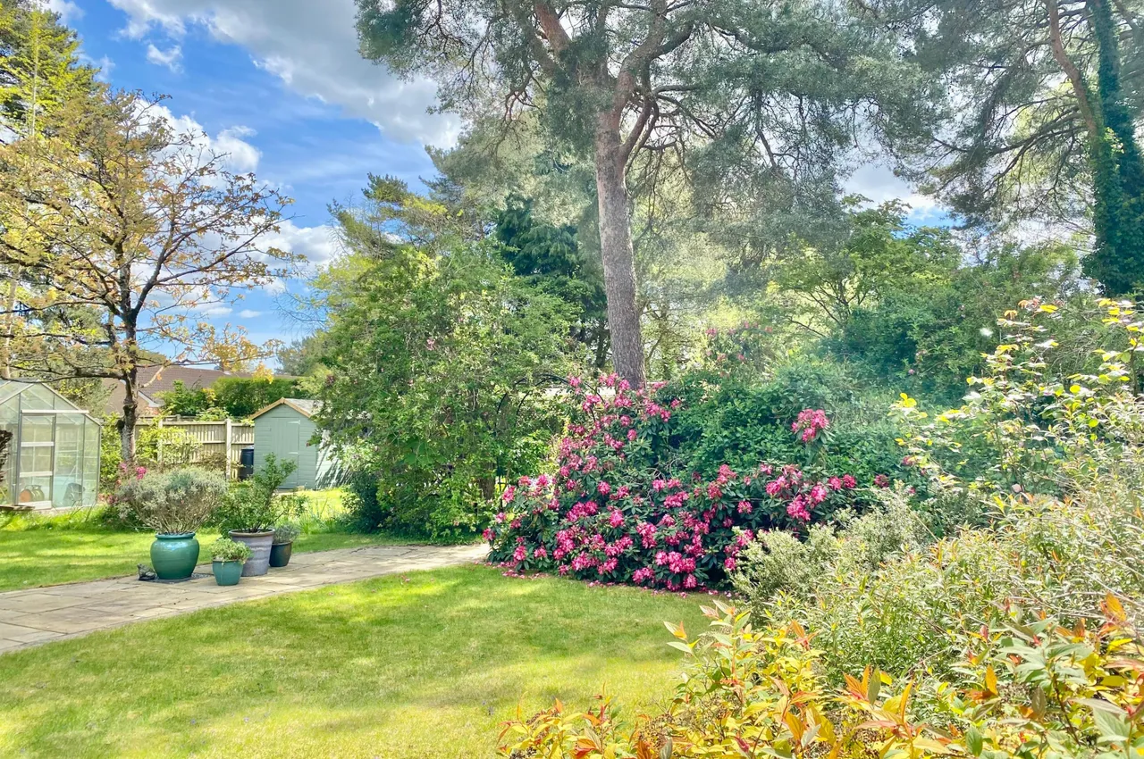 Shelley Close, Ashley Heath, BH24, photo 23
