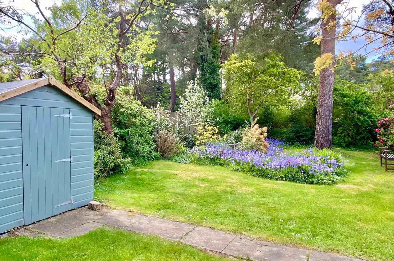 Shelley Close, Ashley Heath, BH24, photo 26