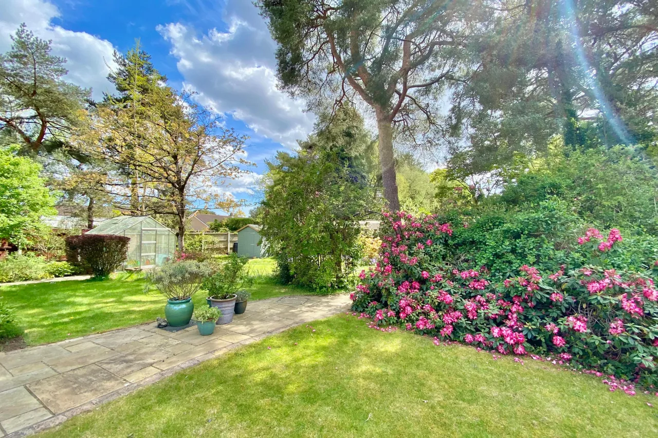Shelley Close, Ashley Heath, BH24, photo 31