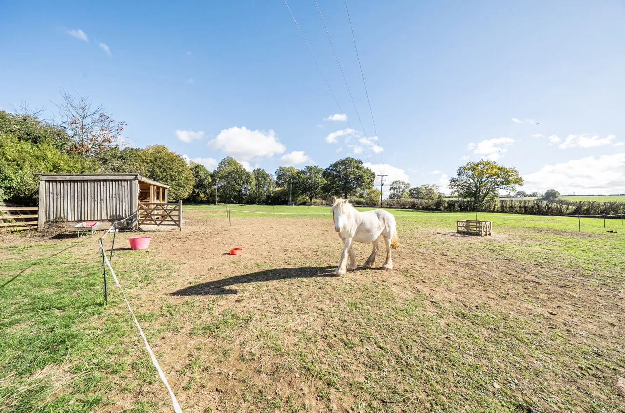 Staplegrove, Taunton, TA2, photo 47