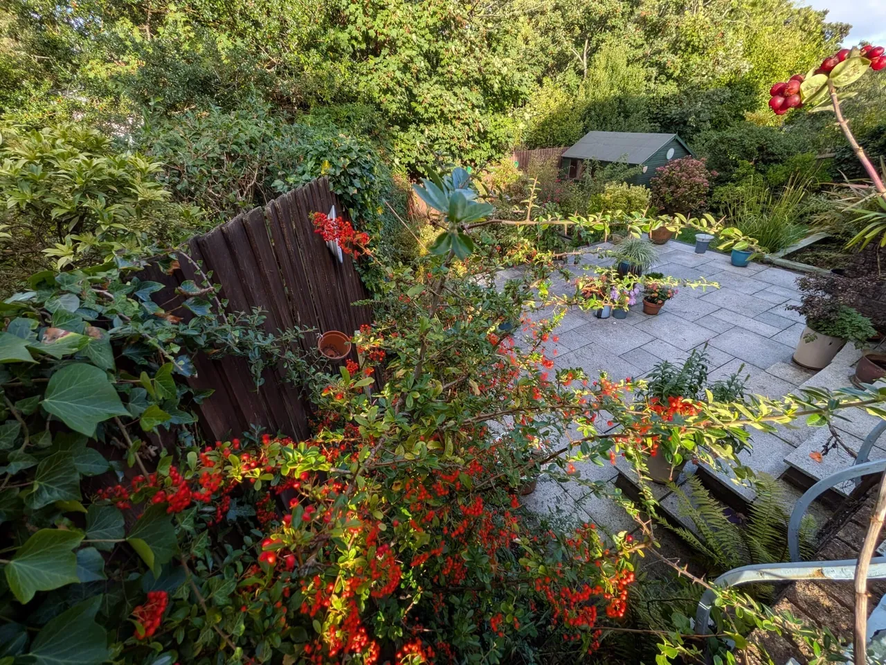 Millheath Drive, Cardiff, CF14, photo 28