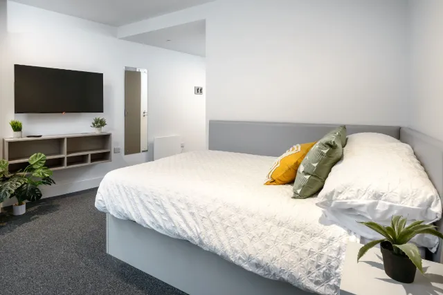 True Superior apartment, True Sheffield, 12 Tenter Street, Sheffield, S1 4XF, photo 4