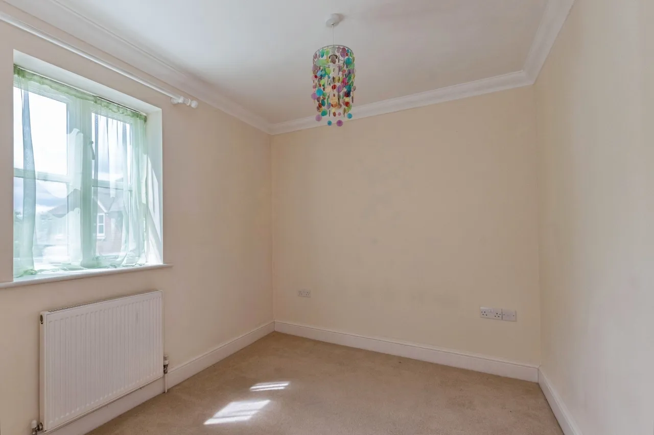 Shaggs Meadow, Lyndhurst, SO43, photo 9