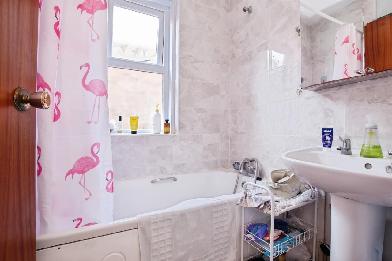 Nortoft Road, Bournemouth, BH8, photo 13