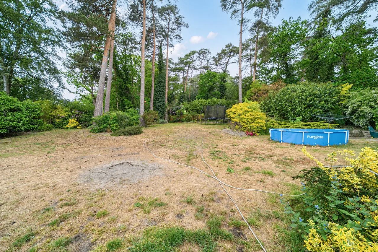 Manor Gardens, Farnham, GU10, photo 8